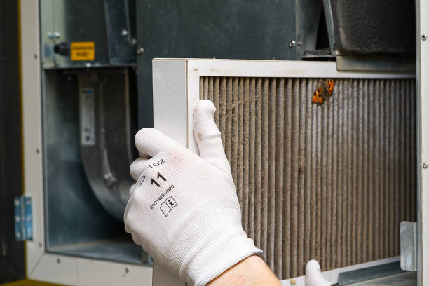 Best Home Air Vent Cleaning  in La Verne, CA