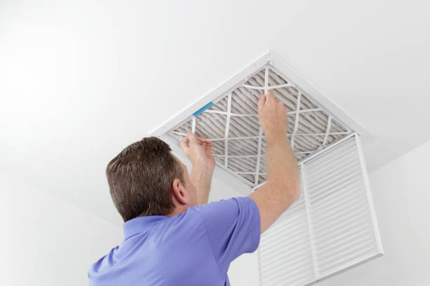 Best Professional Duct Cleaning Services  in La Verne, CA